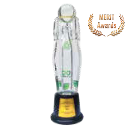 2018 MERIT AWARD - ICT Awards - Government & Public Sector