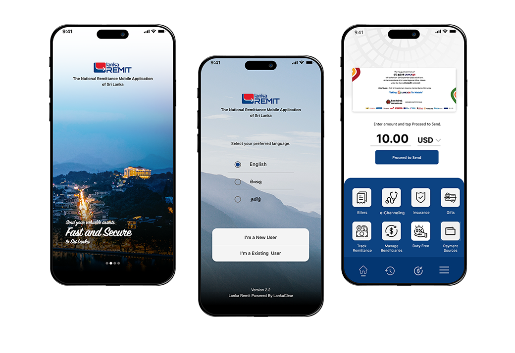 Remittance System visual